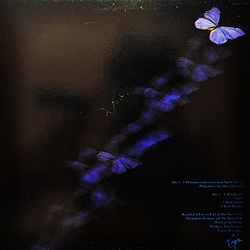 lp_platinum_uk_v_2141_backcover