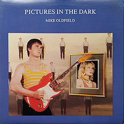 maxi_pictures_in_the_dark_can_vsd_1299_pr_cover
