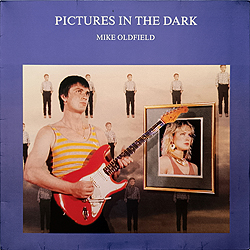 maxi_pictures_in_the_dark_ch_602_070_cover