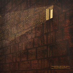 maxi_shadow_on_the_wall_d_600_977_cover