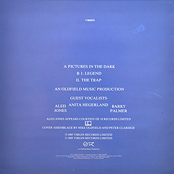 maxi_maxi_pictures_in_the_dark_es_f-602.070_backcover