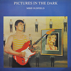 maxi_pictures_in_the_dark_por_433705_cover