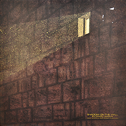 maxi_shadow_on_the_wall_uk_vs_625-12_cover