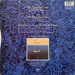 maxi_the_time_has_come_uk_vst_1013_backcover_signed