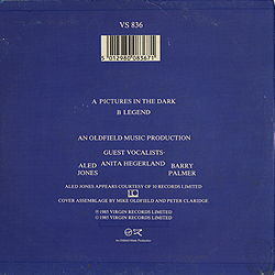 single_pictures_in_the_dark_aus_vs-836_pr_backcover
