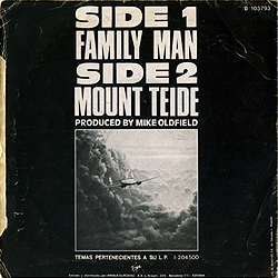 single_family_man_es_b-103.793_125backcover2