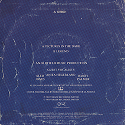 single_pictures_in_the_dark_es_b-107.850_backcover