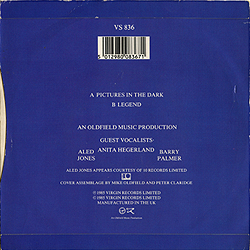 single_pictures_in_the_dark_irl_vs836_backcover