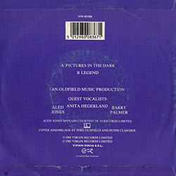 single_pictures_in_the_dark_ita_vin_45169_backcover