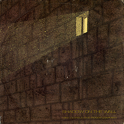 single_shadow_on_the_wall_ita_vin_45085_cover