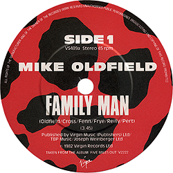 single_family_man_uk_vs489_aside