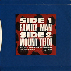single__family_man_uk_vs489_hbackcover