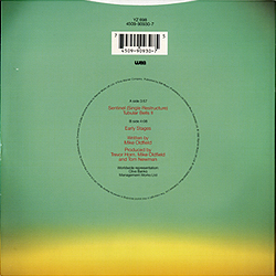 single_sentinel_uk_yz_698_grey_label_2backcover
