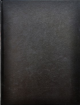 book_enciclopedia_del_rock_cover