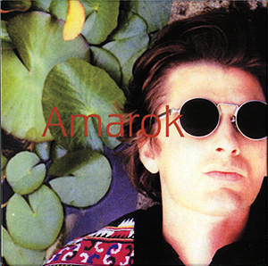 box_unofficial_amarok_backcover